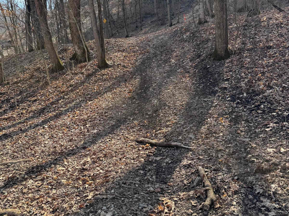 Green 417 trail photo