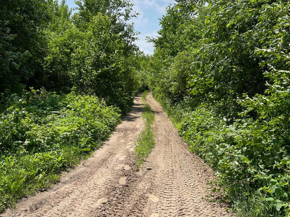 Akeley Cutoff Road SW Connector trail photo