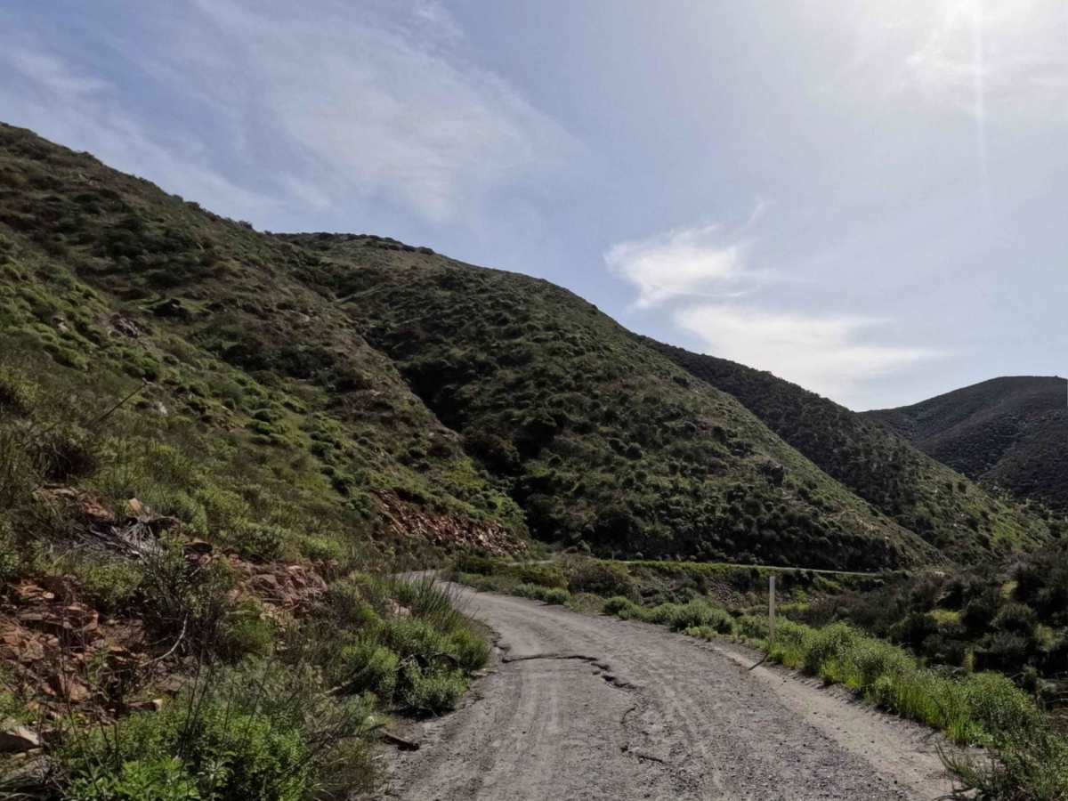 Otay Mountain Truck Trail (Lower Trail) photo 2