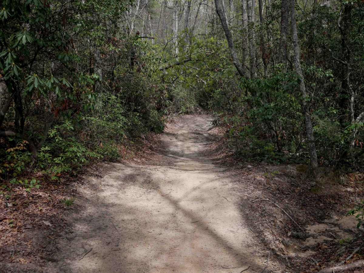 Trail 6 Miller Circle photo 3