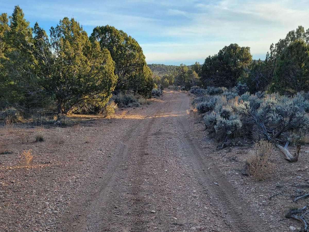 BLM 1059a photo 3