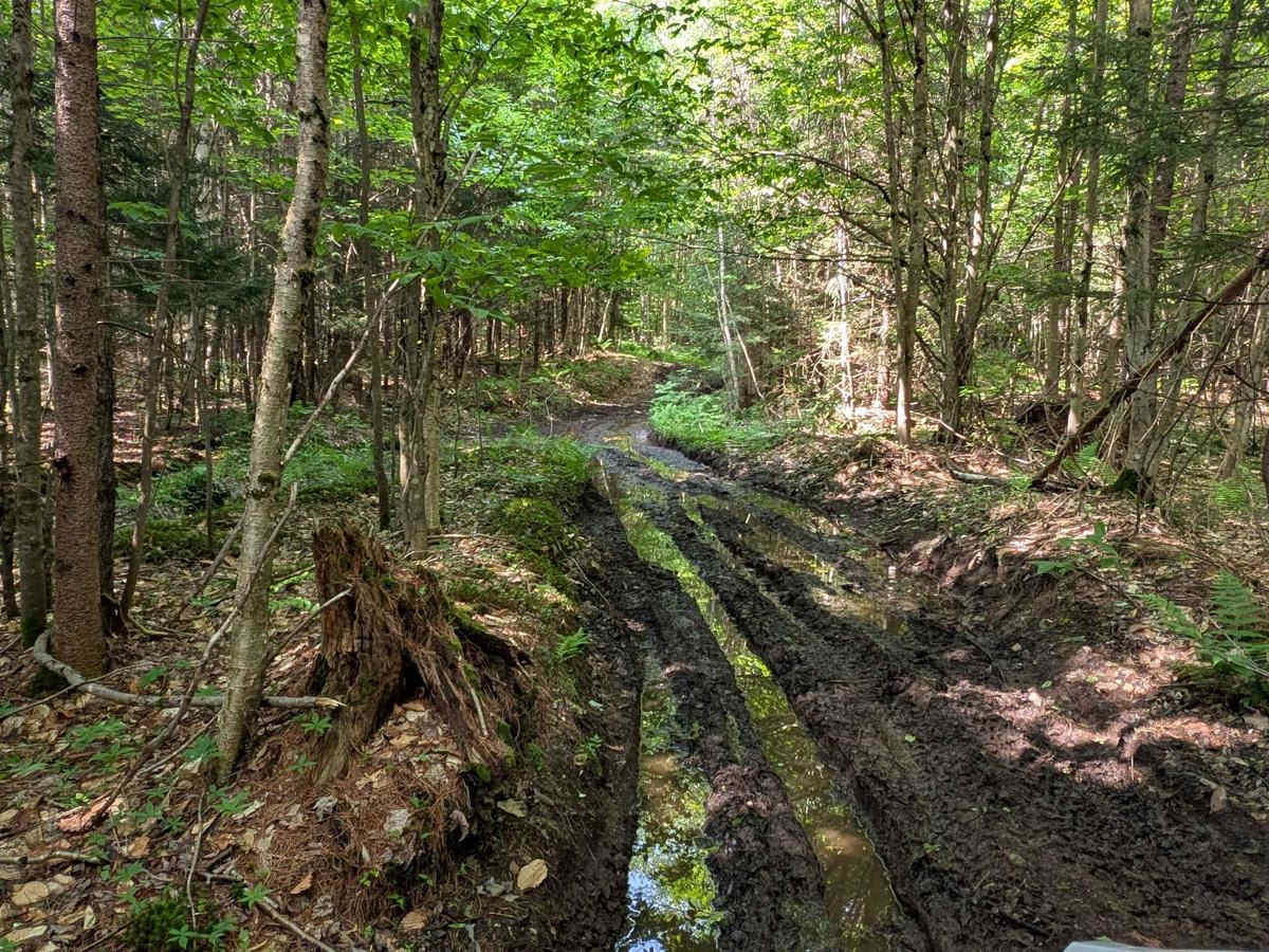 Long Pond Connector Road photo 4