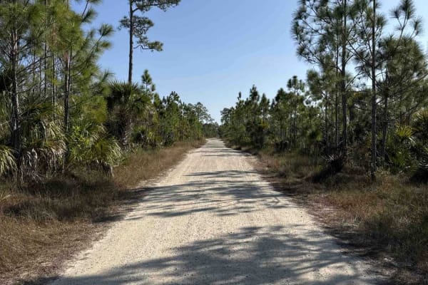 East Sabal Palm Road