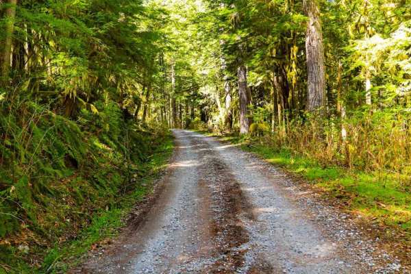 North Fork Stilly