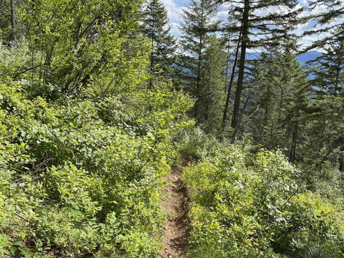 Jewel Gulch photo 3