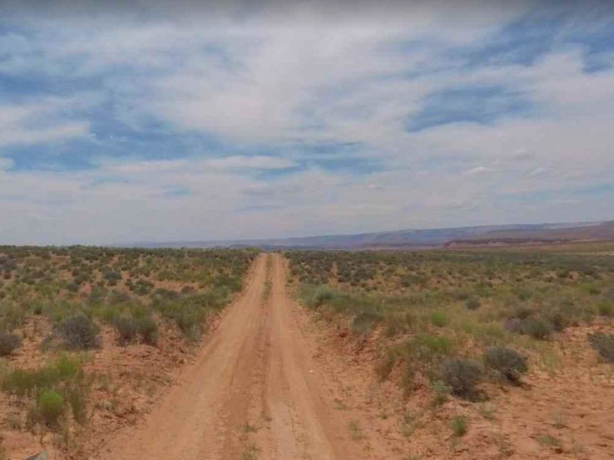 Spring Desert Road - BLM13410 photo 3