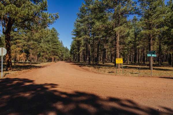 Beale Wagon Road Main