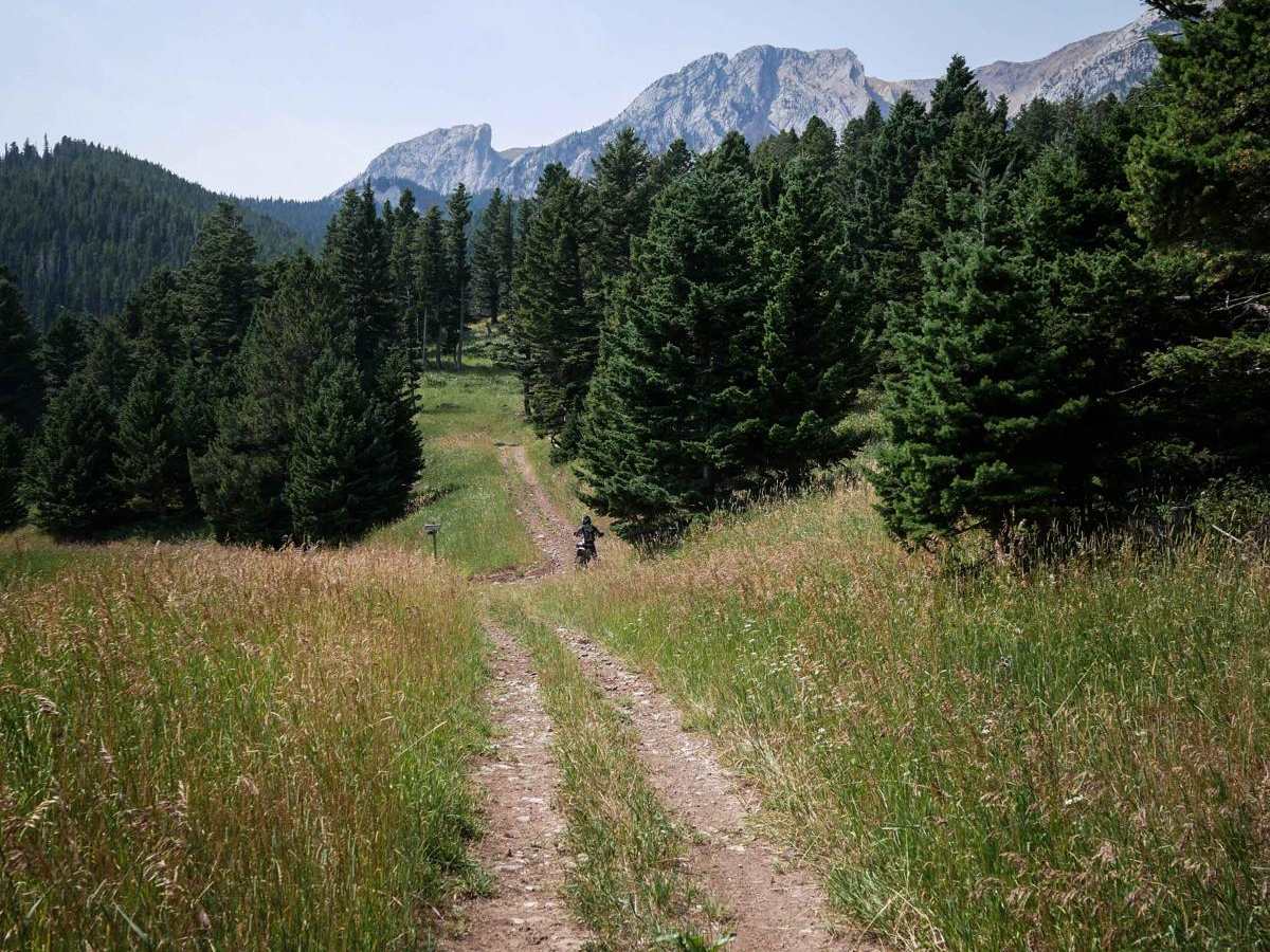 Benchmark trail photo