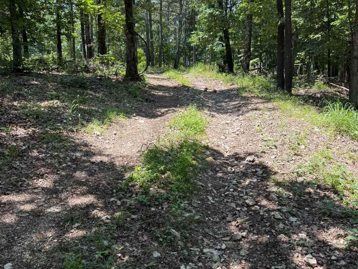 Jenny's Trail photo 5