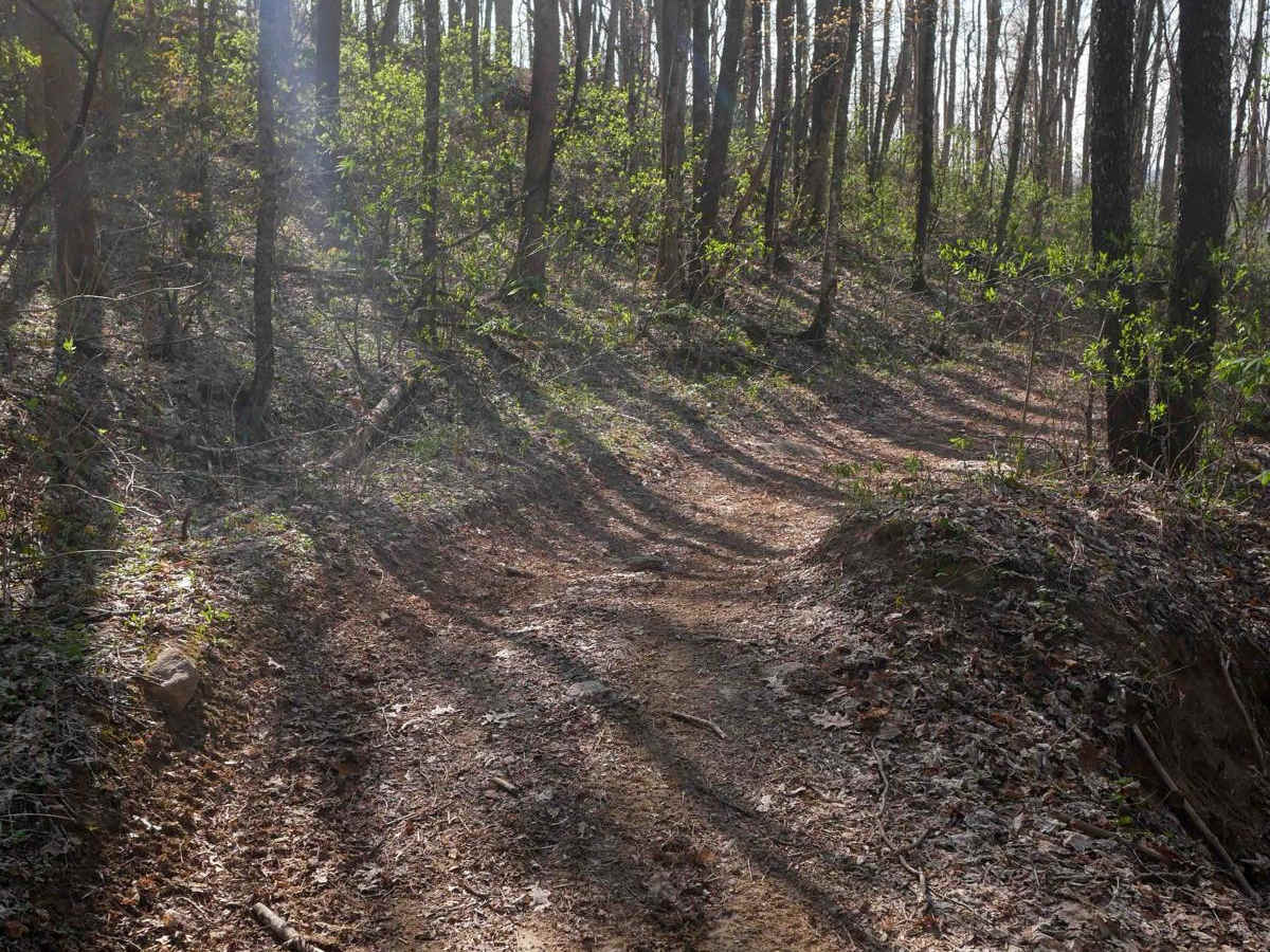 Sawmill Bottoms Trail 8 photo 6