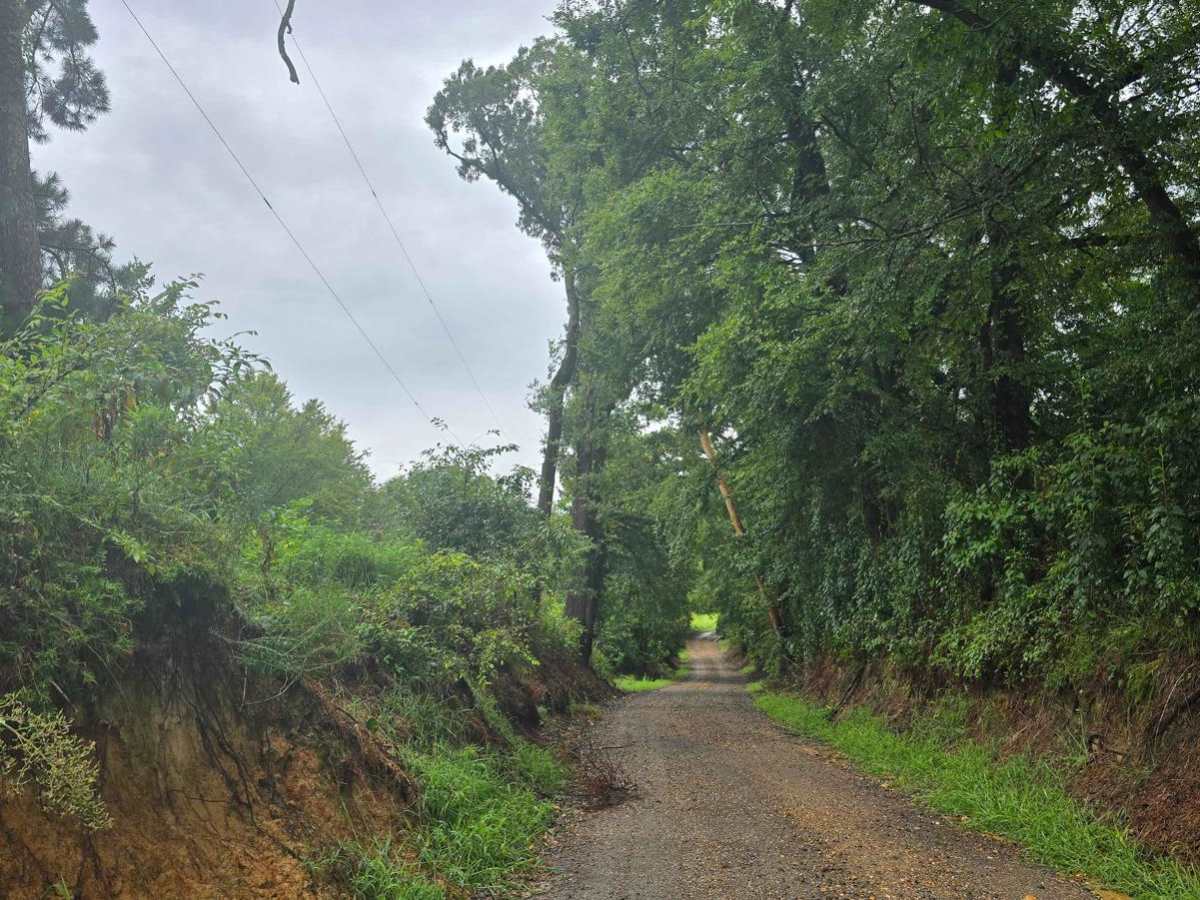 Highway 355 To Nacatoch Ravines trail photo