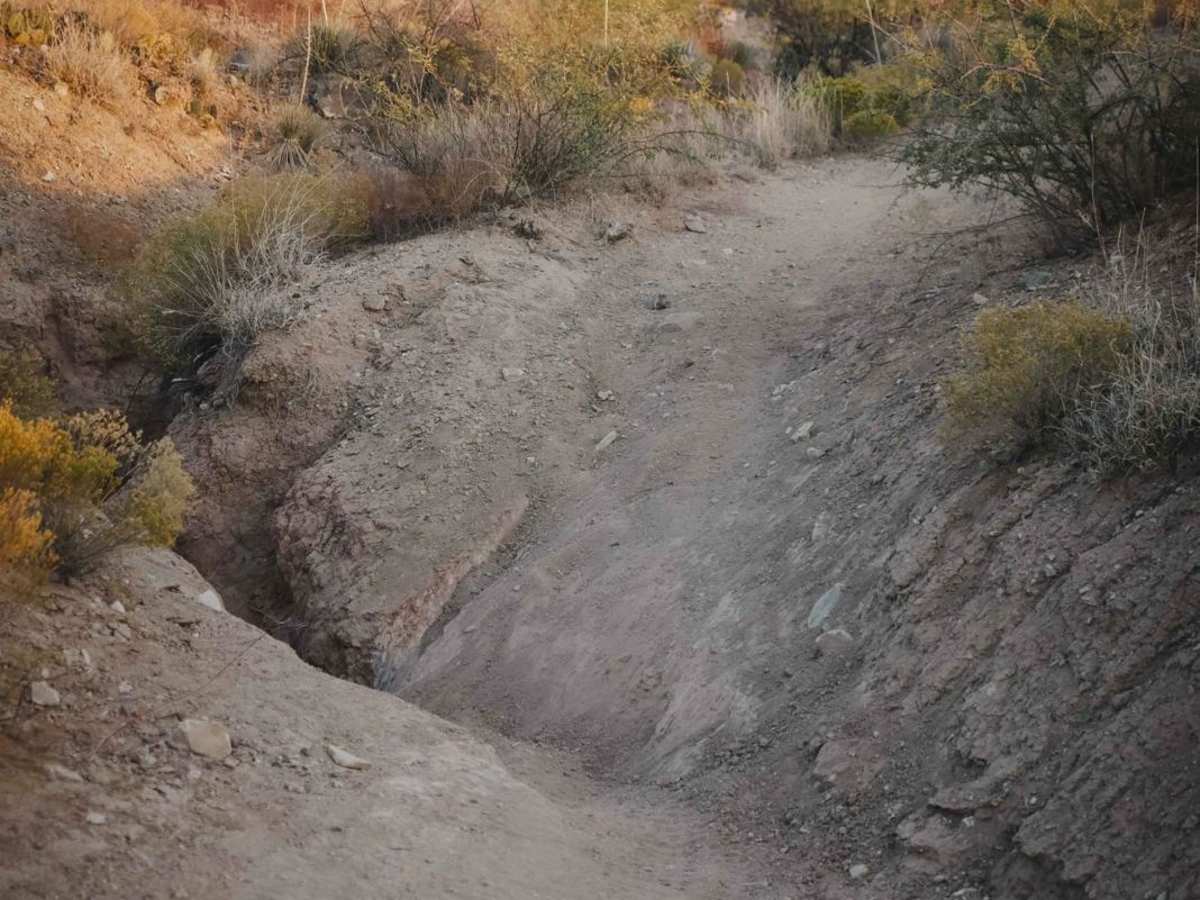 Grapevine #543 photo 3