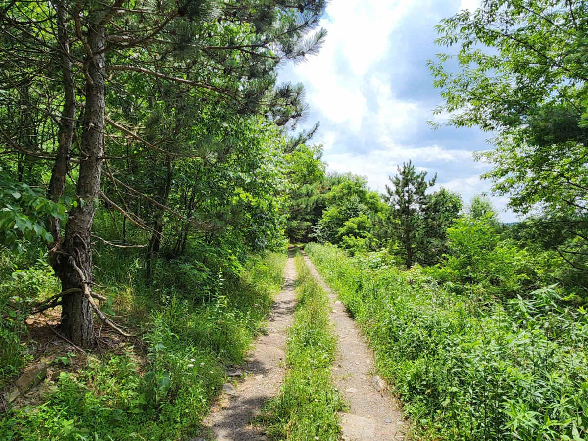 Trail 8G - Rock Run Recreation Area photo 5