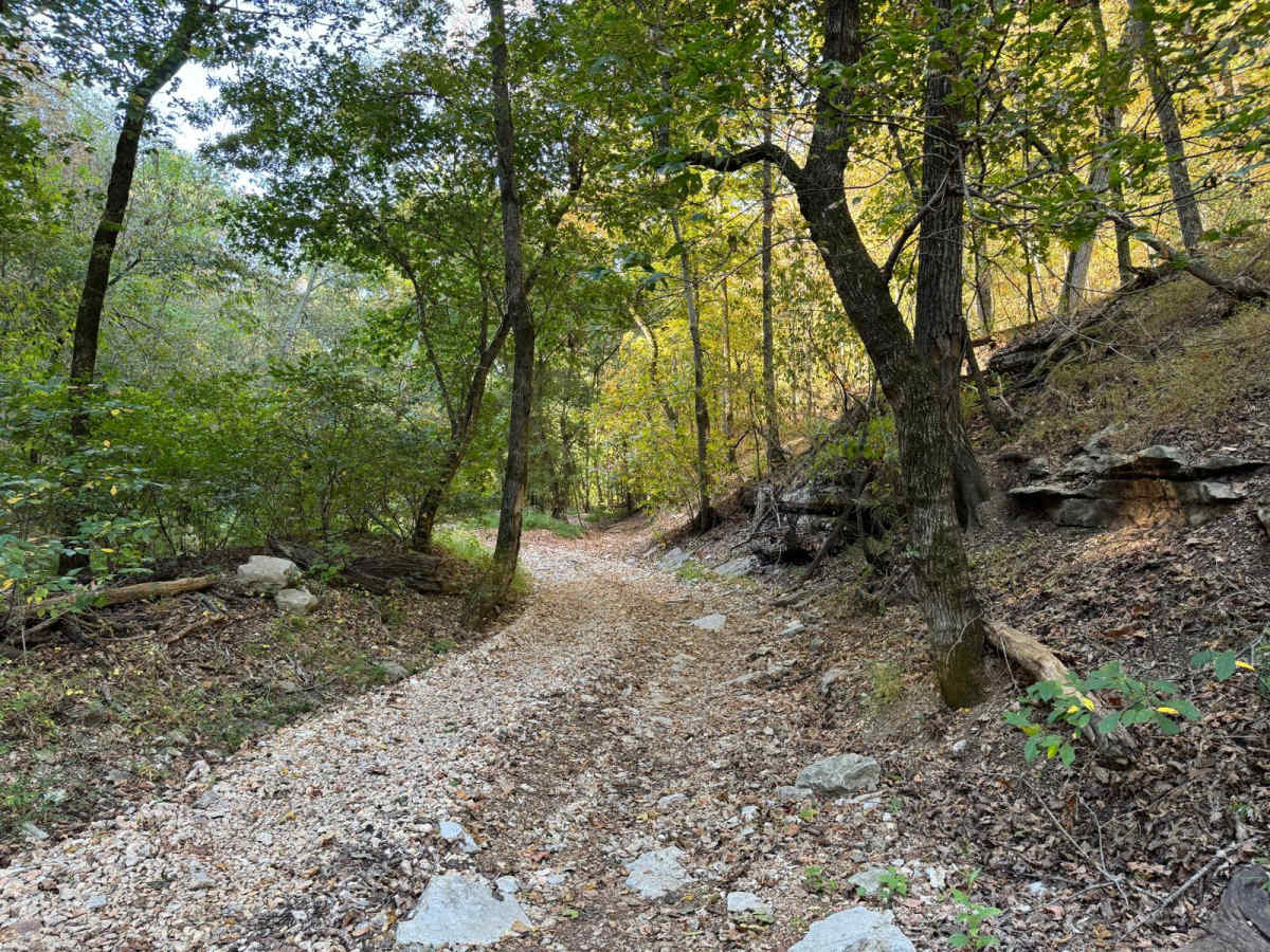 Green 3 trail photo