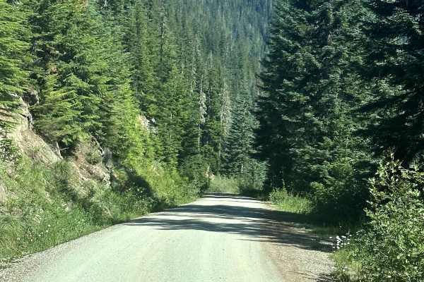 Towhead Gap Trail