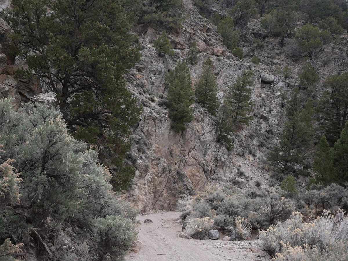 Horse Valley ATV Trail trail photo