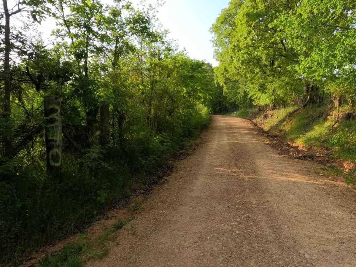 Cut Off Bo-Co Road 340 photo 2