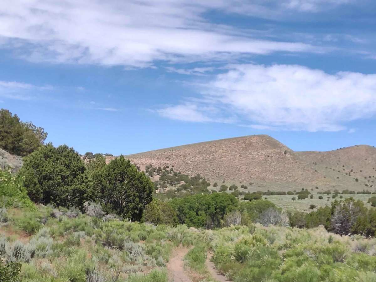 Manning Creek Canyon (FS# 42000) photo 4