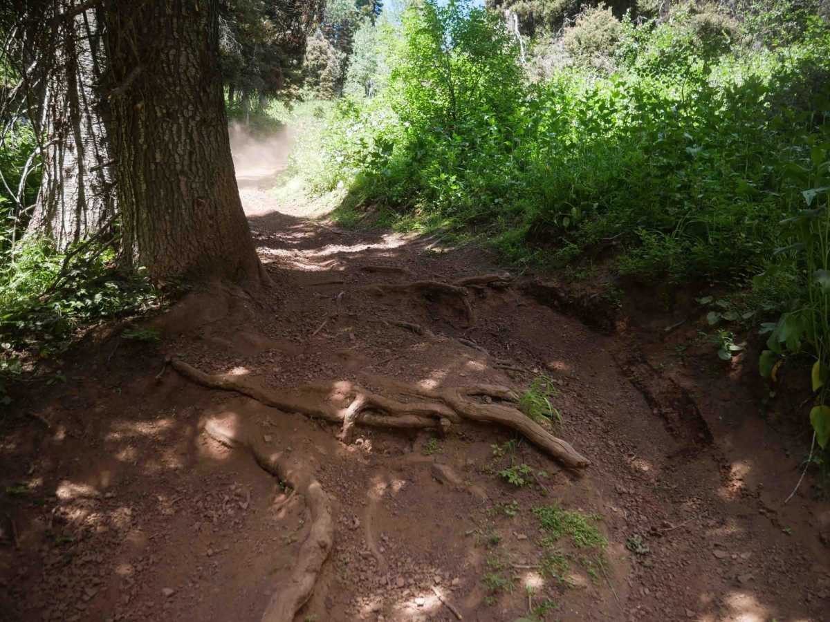 Patterson trail photo