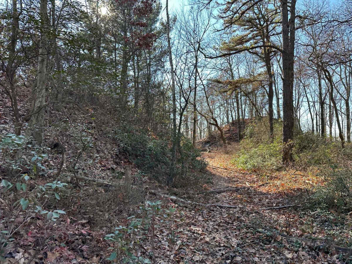 Darkwater 106 photo 6