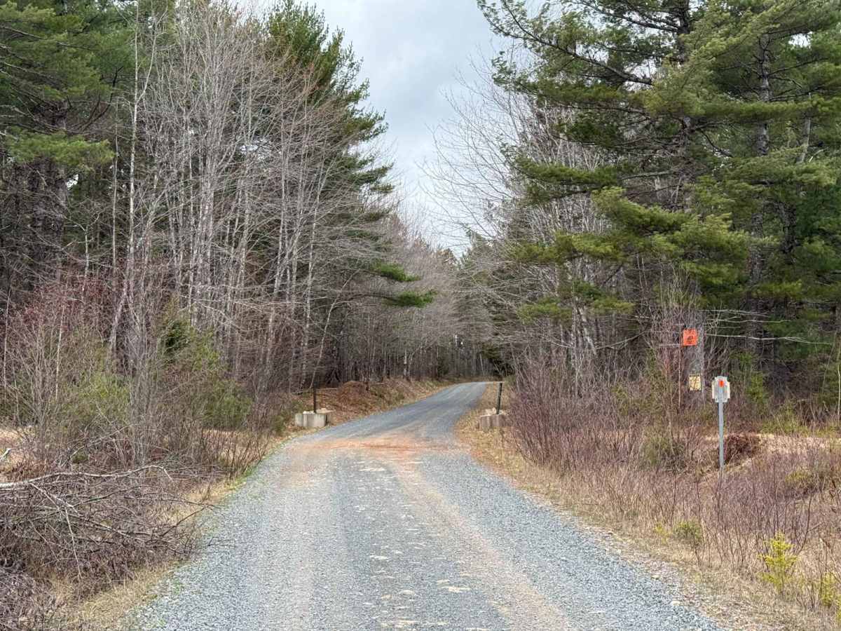 Straight Road Trail photo 5