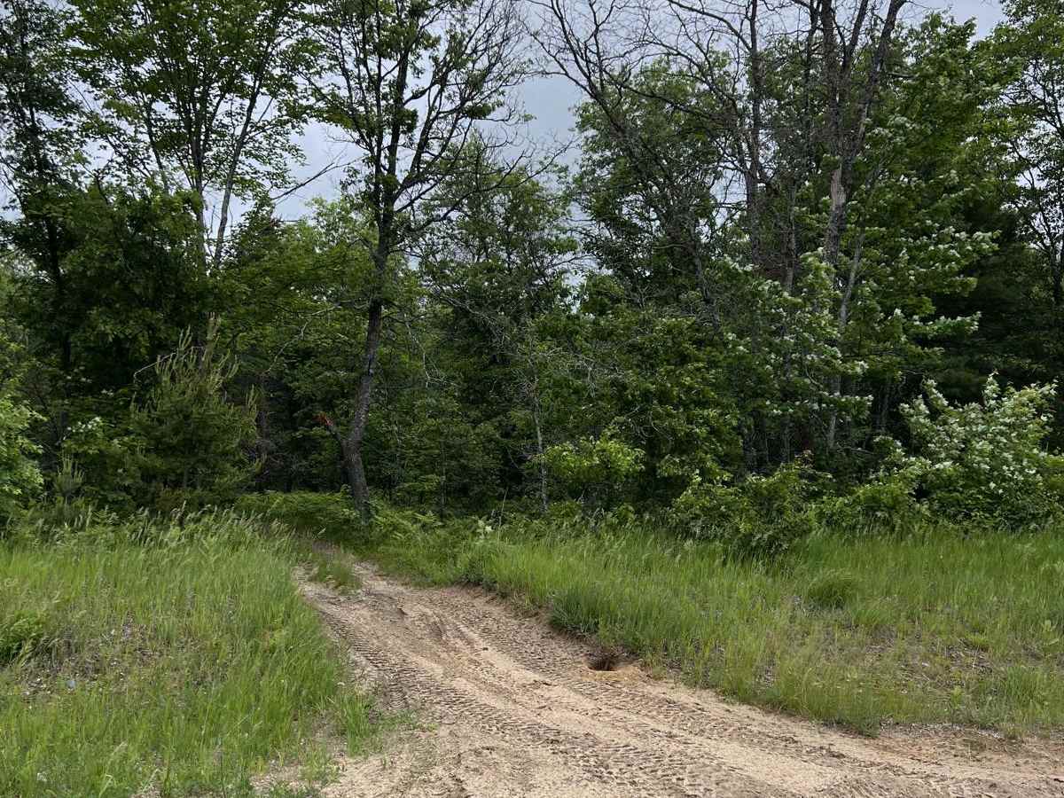 Big Wolf to Townline trail photo
