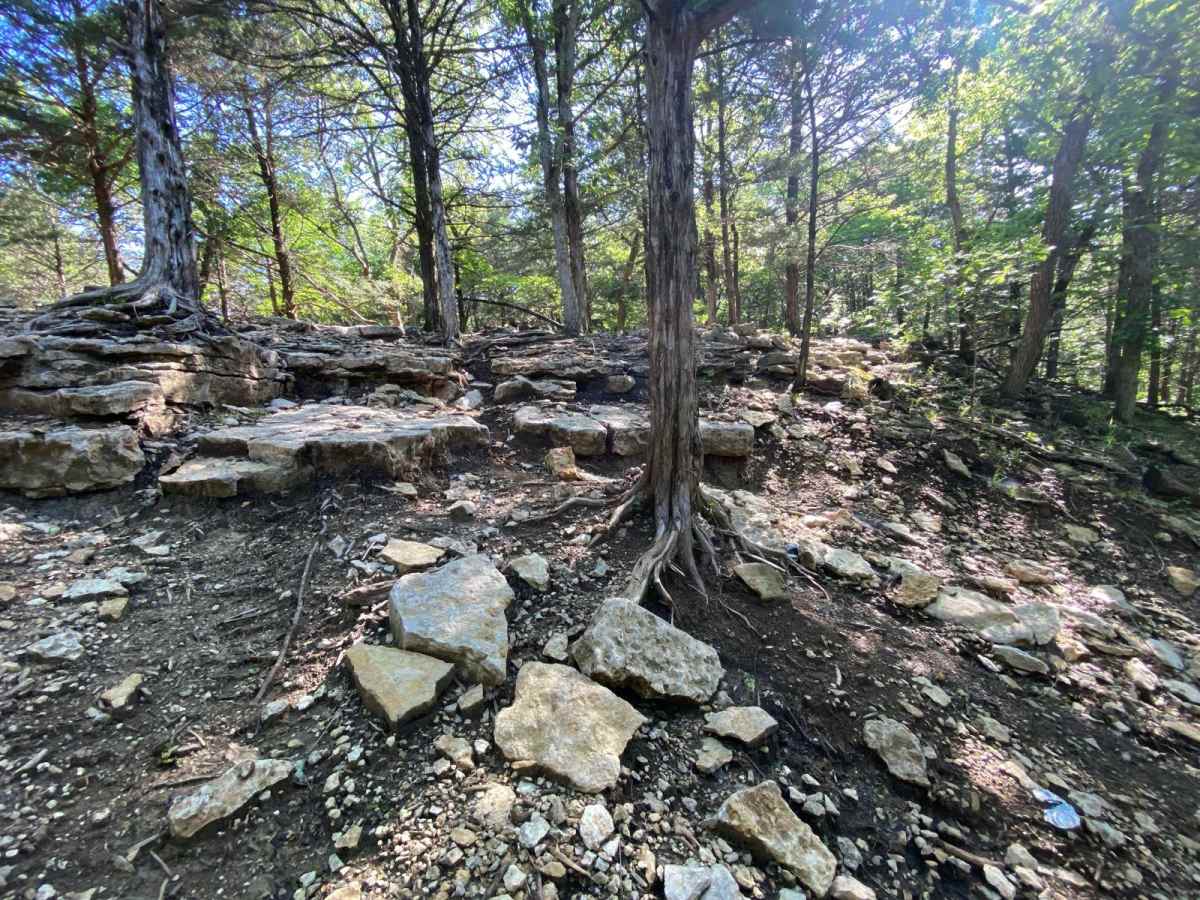 Turner's Trail photo 2