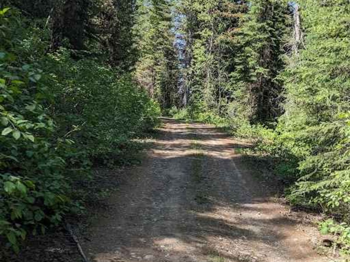 Lodgepole Pass photo 4