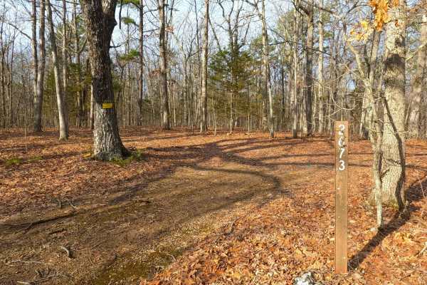 Trace Creek - FS 2673