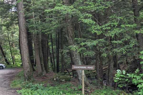 Shanerburg Road