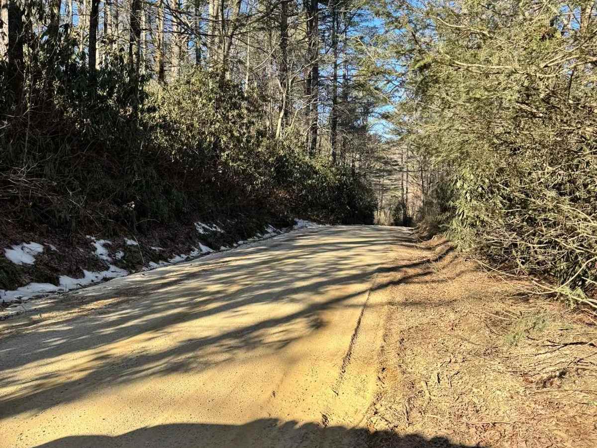 Blue Valley Road trail photo
