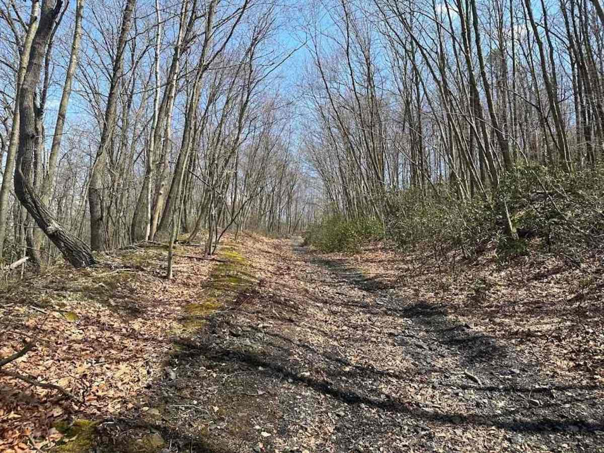 Ashland 125 photo 2