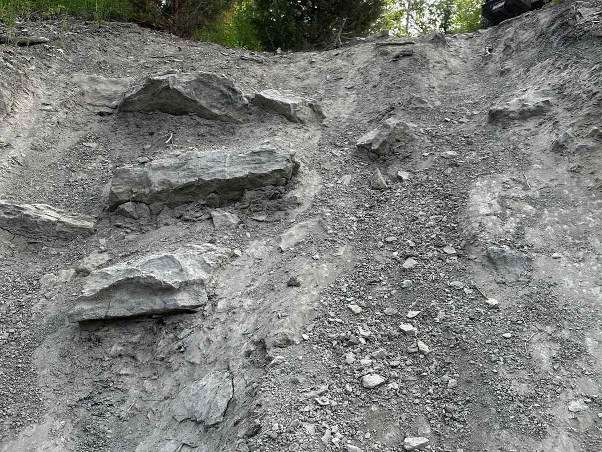 Red 149 photo 2