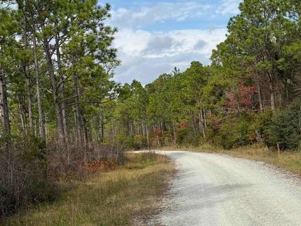 Bogue Road photo 4