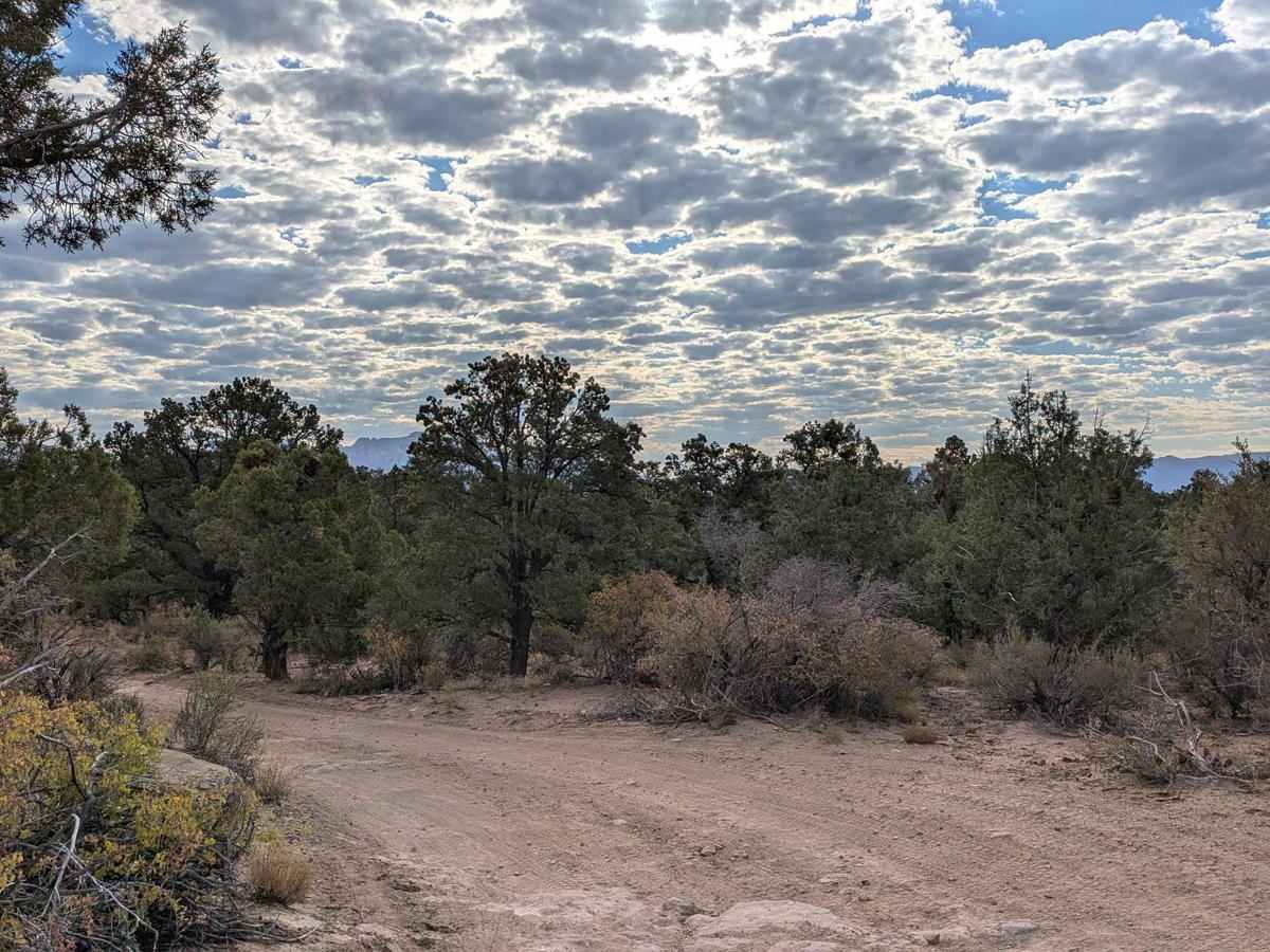Flying Monkey Trail Access photo 2