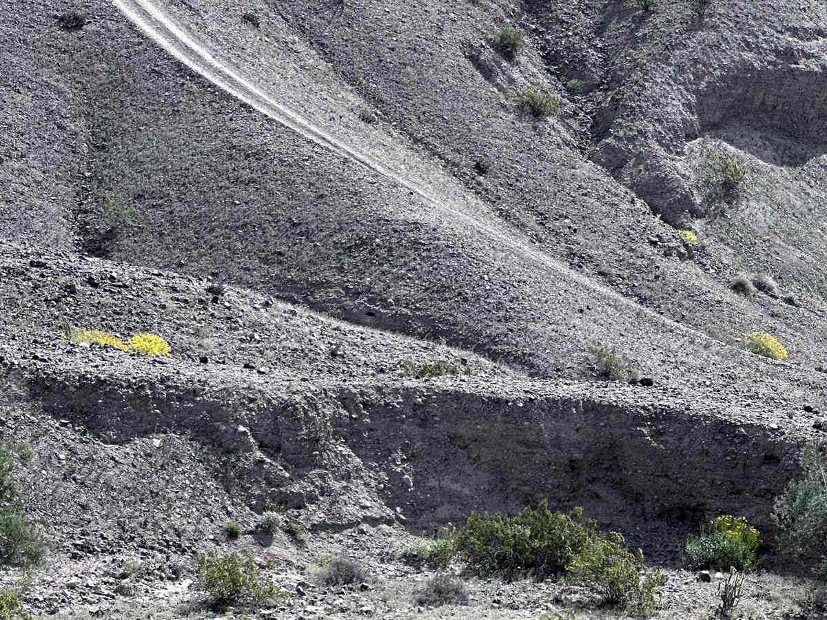 Laguna Hills Rollercoaster photo 3