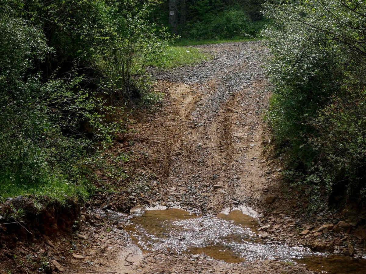 W71 trail photo