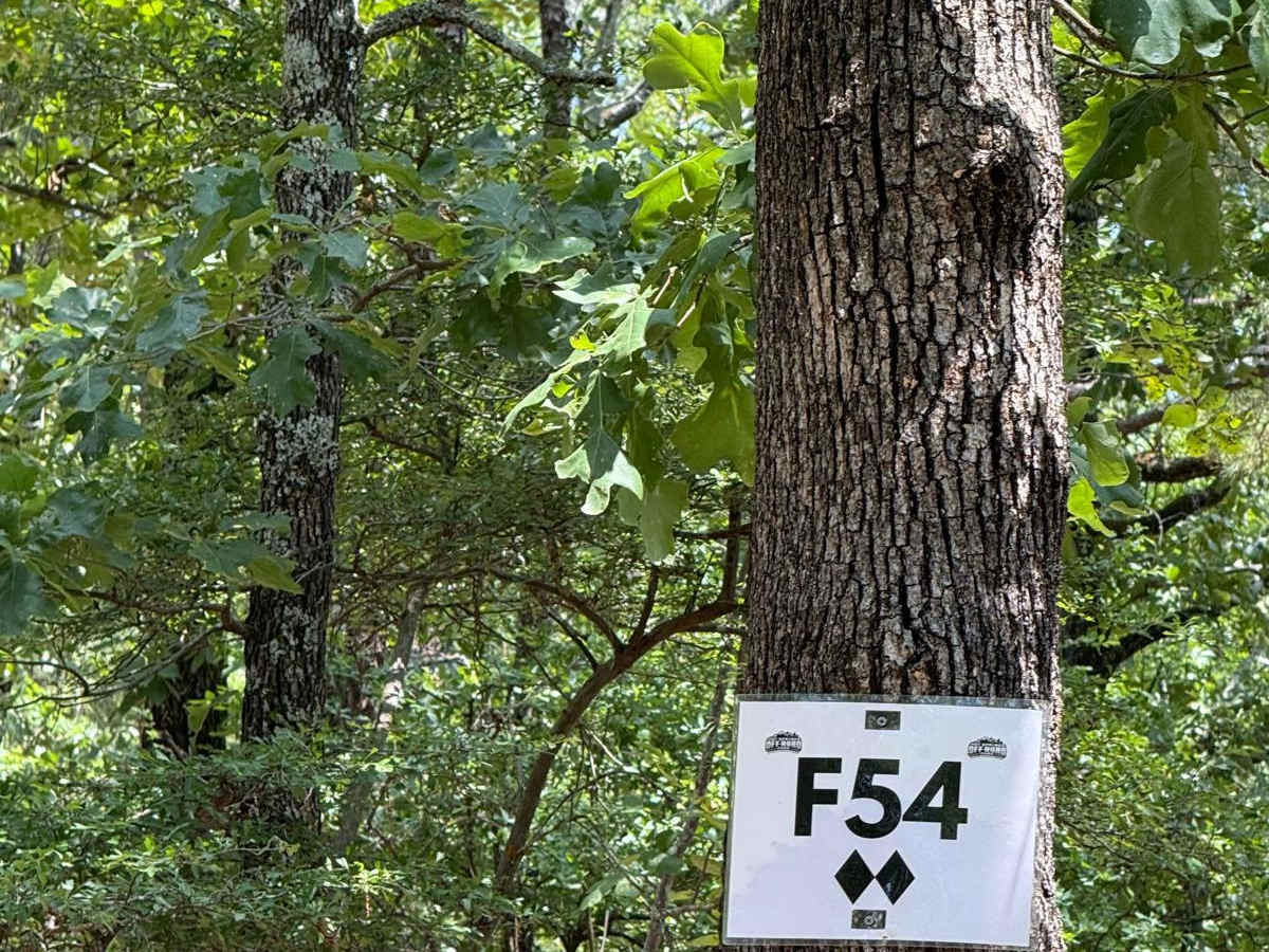 F54 trail photo