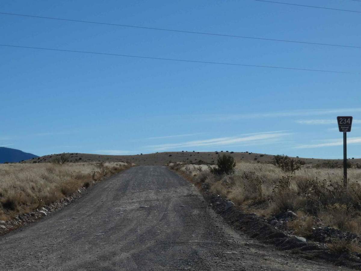 Muleshoe photo 2