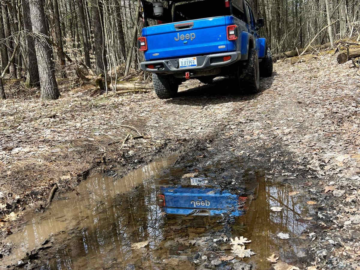 NFS 6658/5501 trail photo