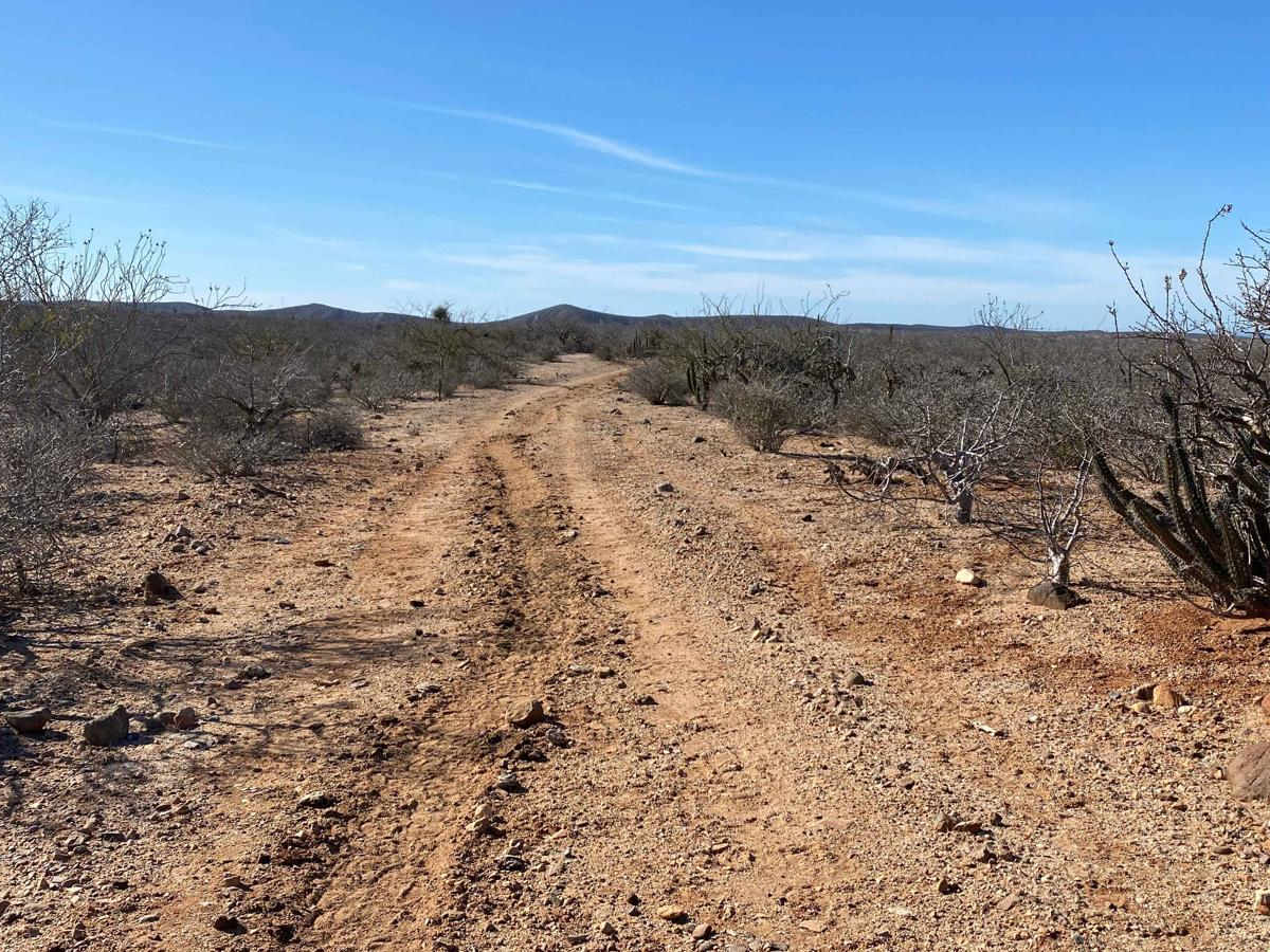 Old Road Meliton photo 3