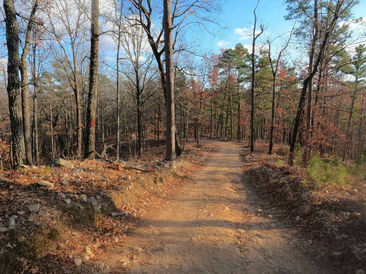 Mid Ridge Road trail photo