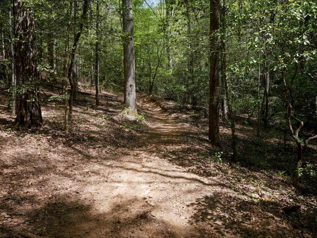 Ridge Top Trail C photo 5