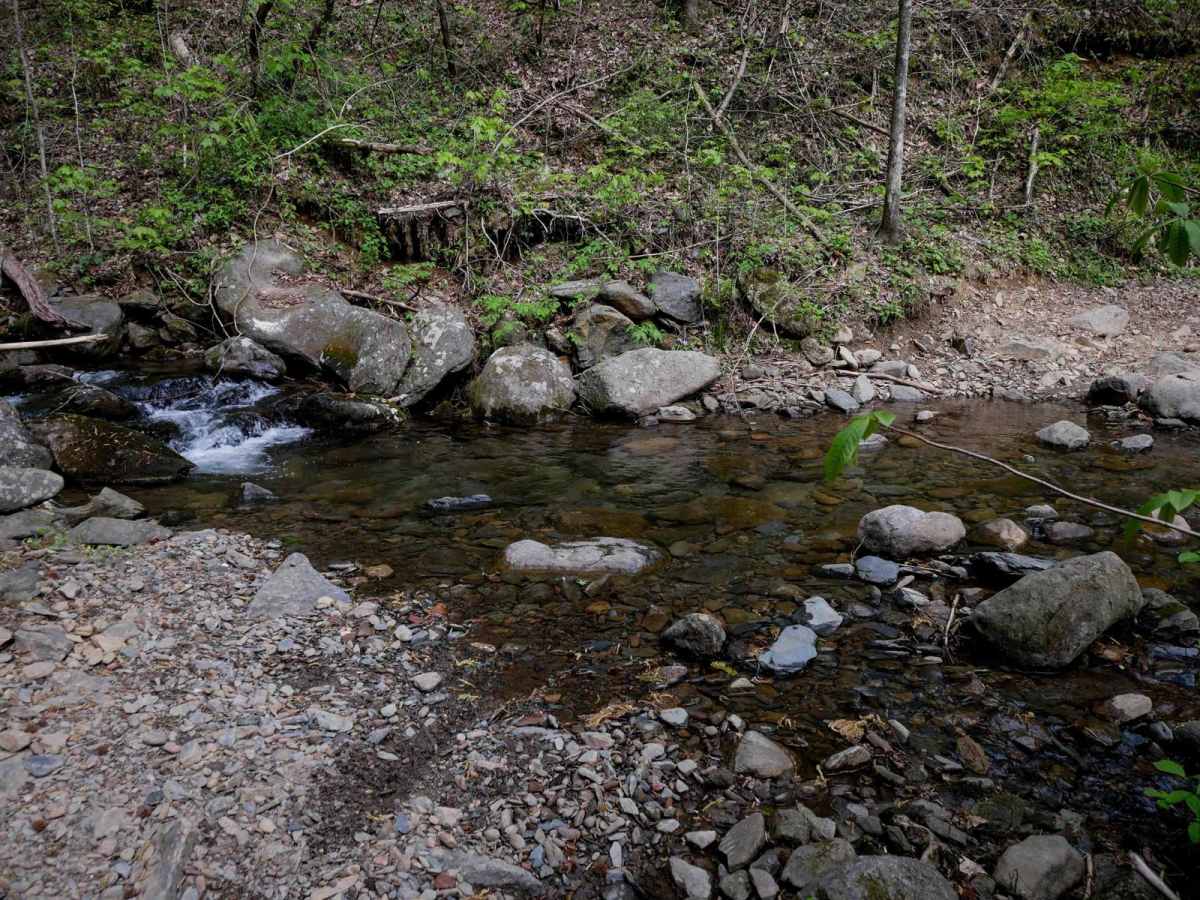Milma Creek trail photo