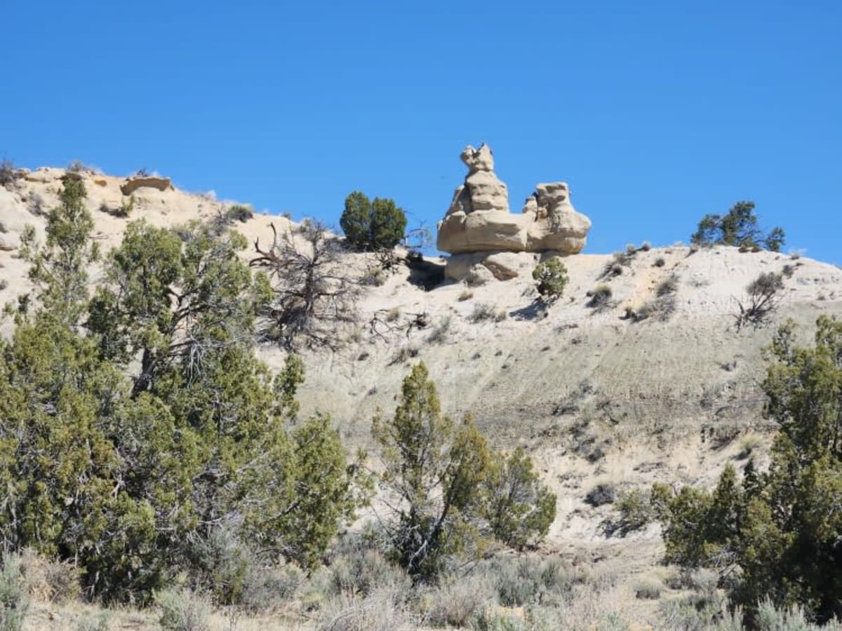 Glade North - Upper Mesa Trail photo 5