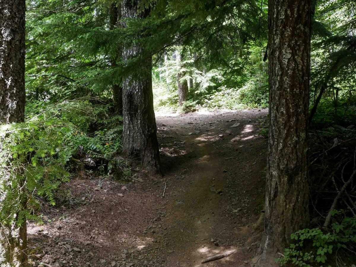 Clydes #7 trail photo