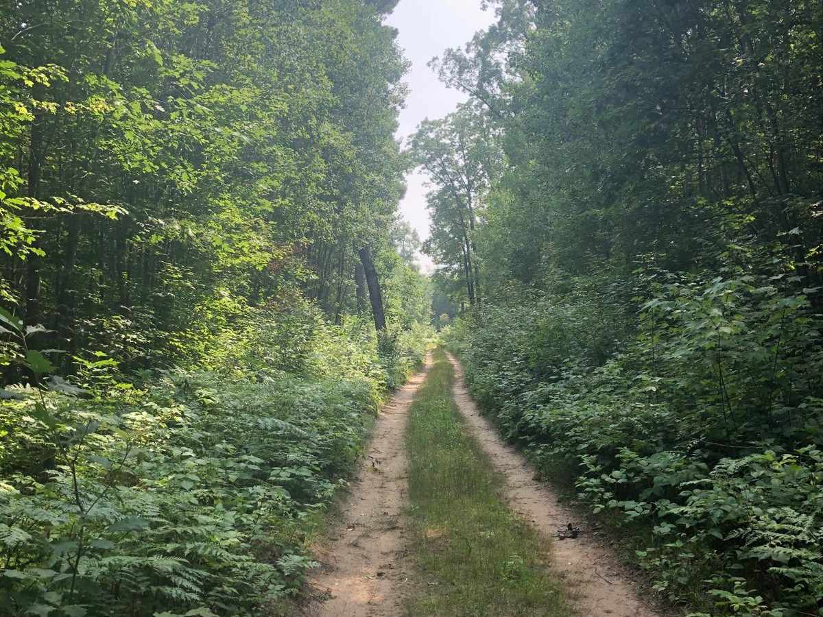 Carpenter Road Loop photo 4