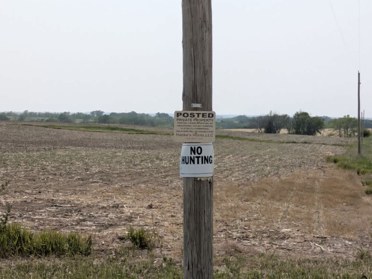 11th Road trail photo