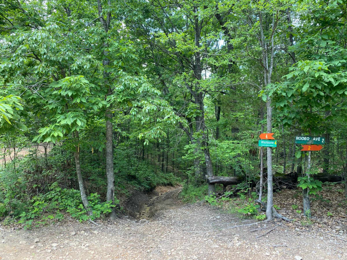 Wishbone trail photo