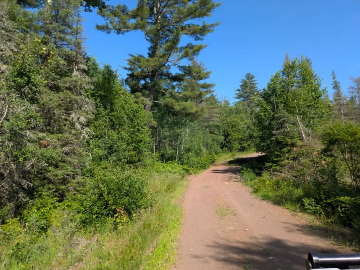 Berry Creek photo 3